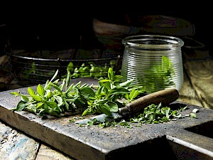 chopping board and mint food - Diana Miller