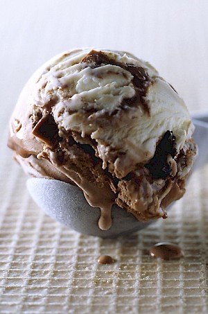 Ice Cream scoop food - Diana Miller
