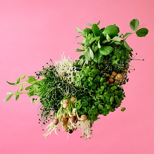 Graphic foody images ofwholefood in London captured by Chelsea Bloxsome with Horton-Stephens. Floating food.
