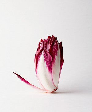 helsea Bloxsome, an outdoor photographer with Horton-Stephens, captures natural foody images of people cooking wholefood in London for clients, shot by a London food photographer.