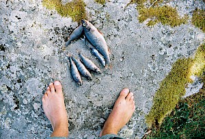 This colour photo shows fishing by James Bowden, UK  photographer, represented by Horton-Stephens photographer’s agents specialises in natural and authentic  lifestyle outdoors nature photographic images.