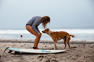 This colour photo shows surfing at the beach by James Bowden, UK  photographer, represented by Horton-Stephens photographer’s agents specialises in natural and authentic  lifestyle outdoors nature photographic images.