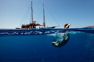 This colour photo of shows sea, ocean and swim by James Bowden, UK  photographer, represented by Horton-Stephens photographer’s agents specialises in natural and authentic  lifestyle outdoors nature photographic images.