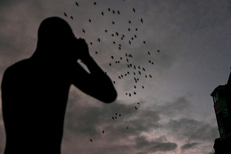 Diver with flock of birds by James Bowden top outdoor and lifestyle photographer represented by Horton Stephens photography agency